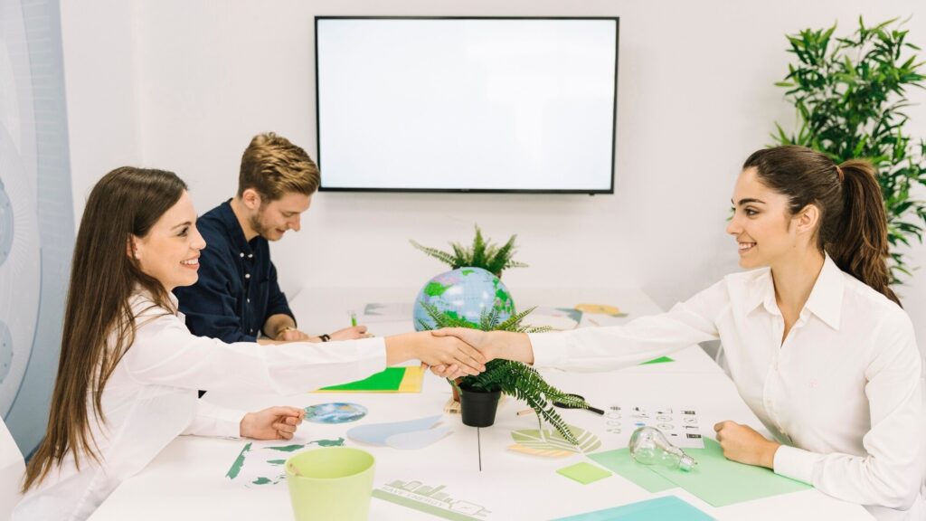 Salesforce Nonprofit Consultants